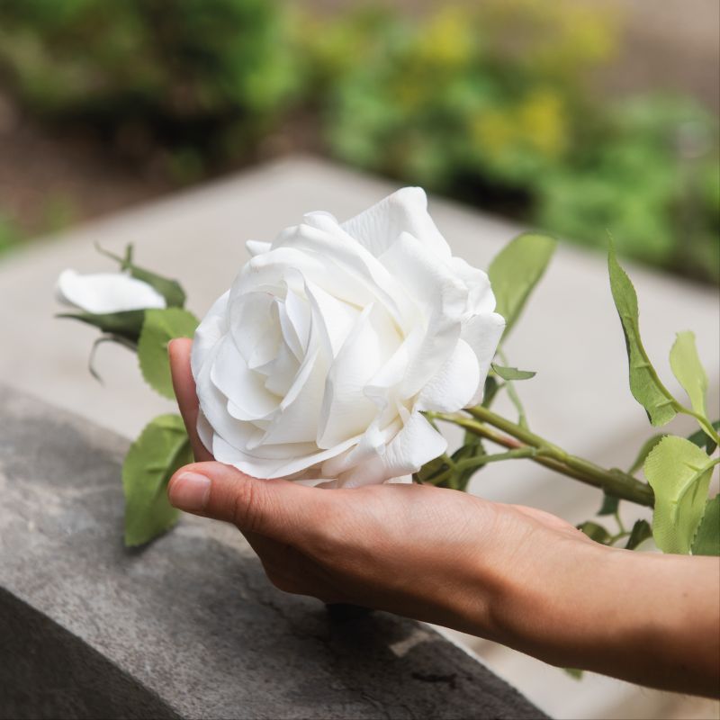 Assistência funeral